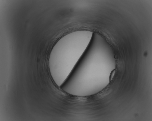 X0000094790719200711160917