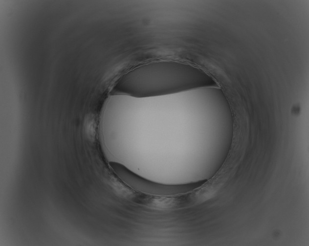 X0000094790720200711160917