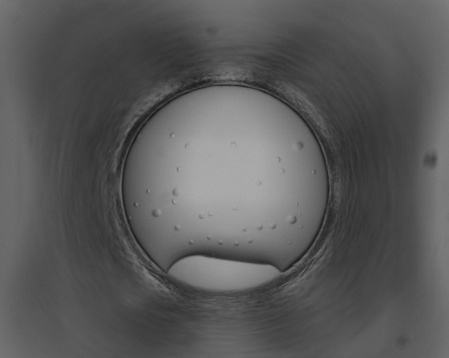 X0000094790721200711160916