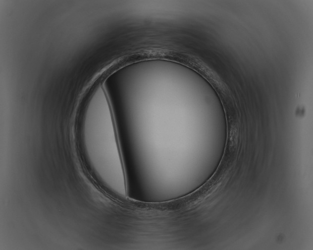X0000094790722200711160916