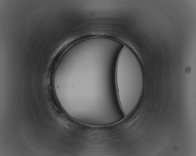 X0000094790723200711160916
