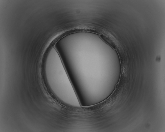 X0000094790724200711160916