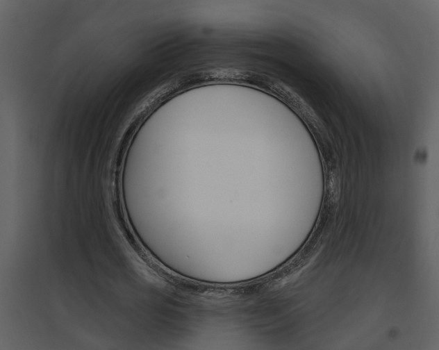 X0000094790725200711160916