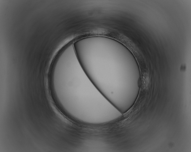 X0000094790726200711160916