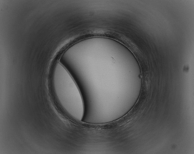 X0000094790728200711160916