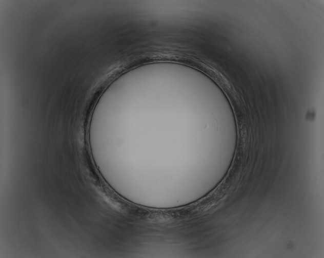 X0000094790729200711160916