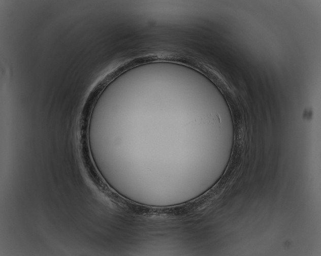 X0000094790730200711160916