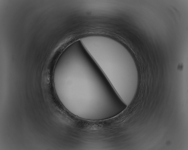 X0000094790731200711160916