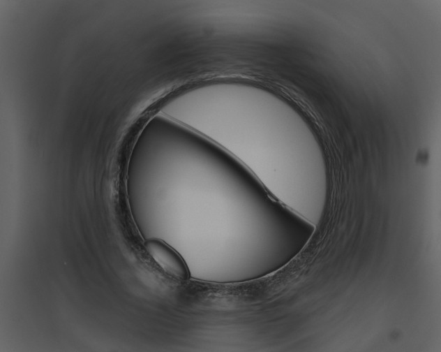 X0000094790732200711160916