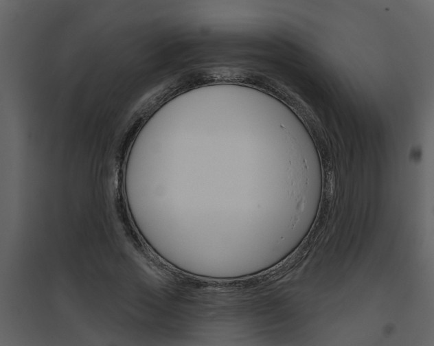 X0000094790733200711160916
