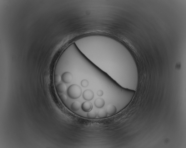 X0000094790734200711160916