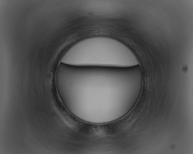 X0000094790735200711160916