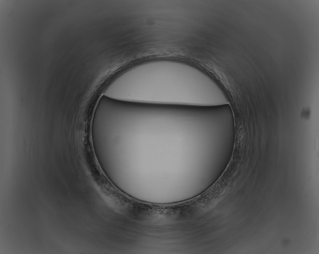 X0000094790736200711160916