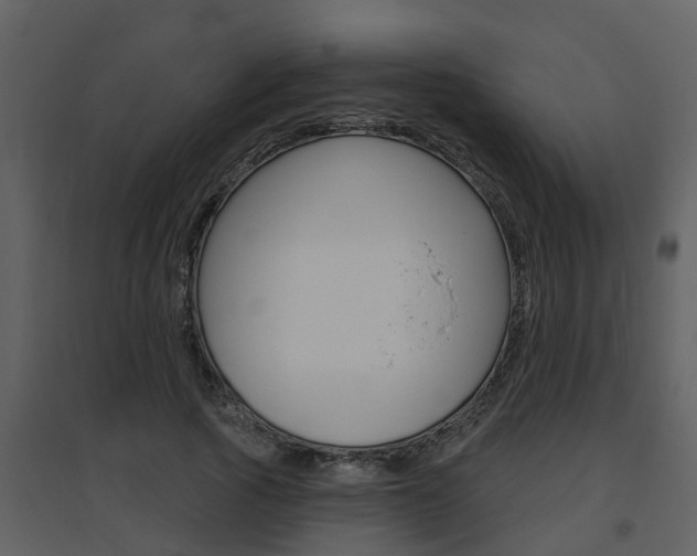 X0000094790737200711160916