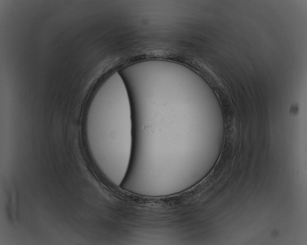 X0000094790738200711160916