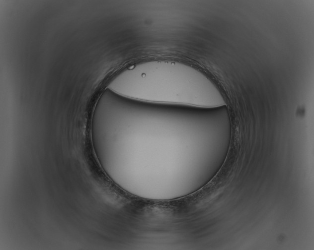 X0000094790739200711160916