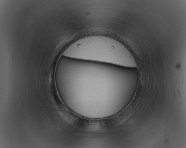 X0000094790740200711160916
