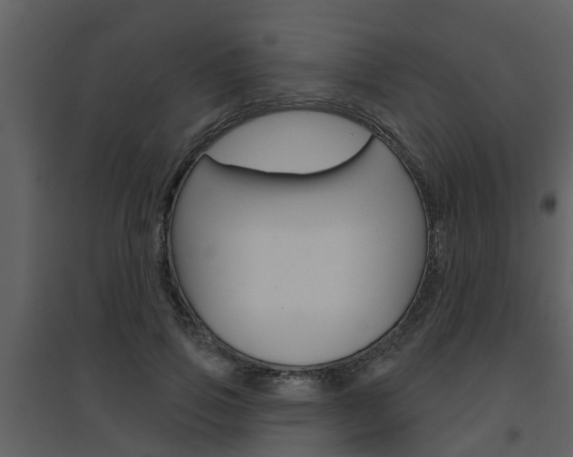 X0000094790741200711160916