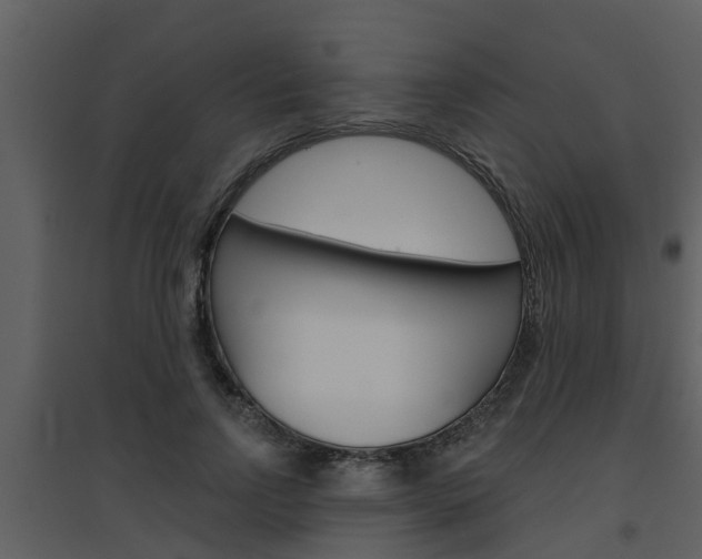 X0000094790742200711160916
