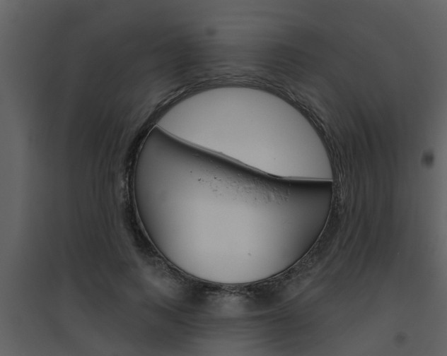 X0000094790743200711160916