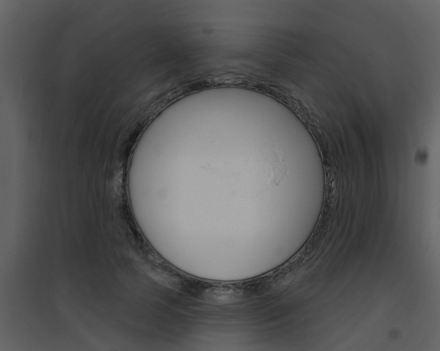X0000094790745200711160916