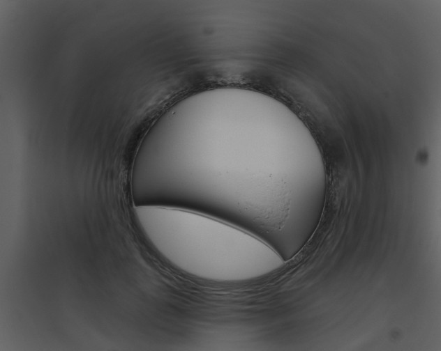 X0000094790747200711160916