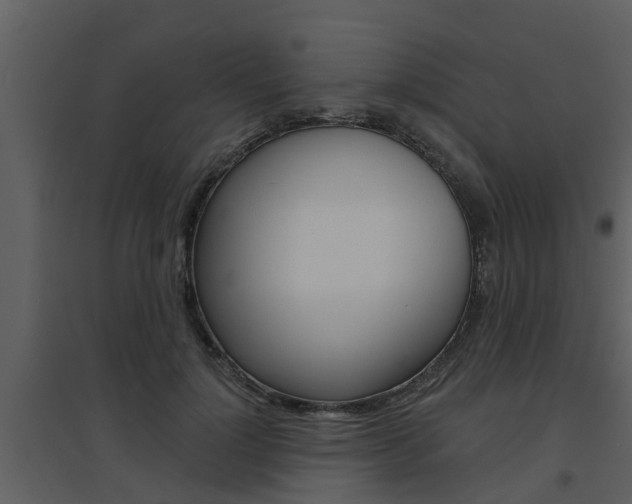 X0000094790748200711160916