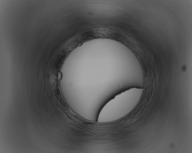 X0000094790749200711160916