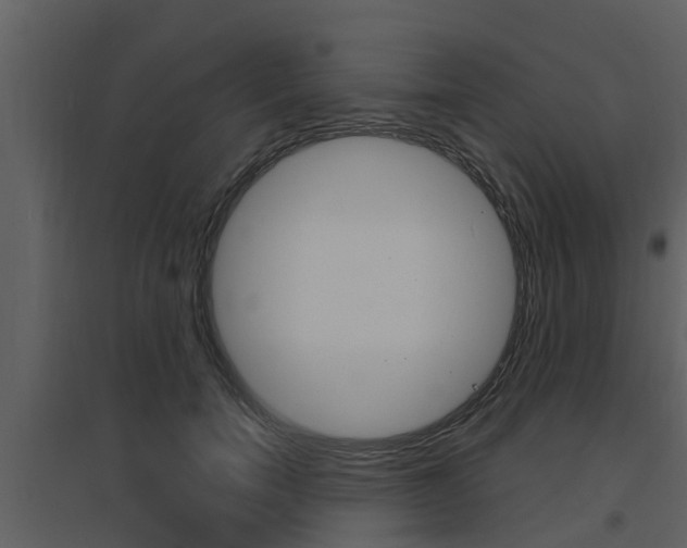X0000094790750200711160916
