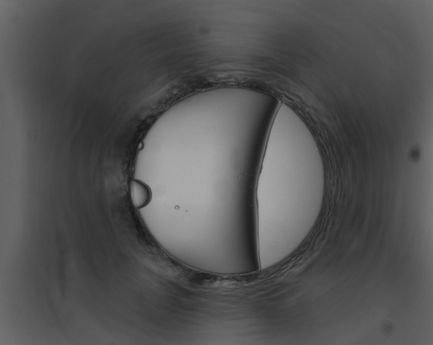 X0000094790751200711160916
