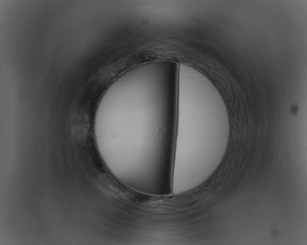 X0000094790752200711160916