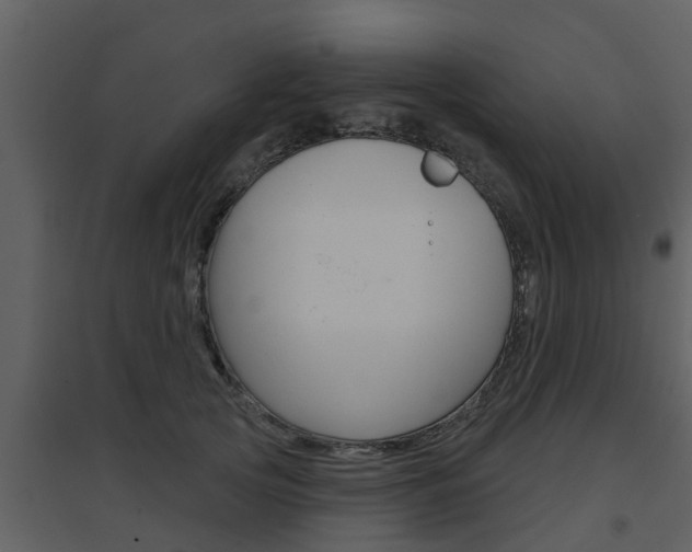 X0000094790753200711160916