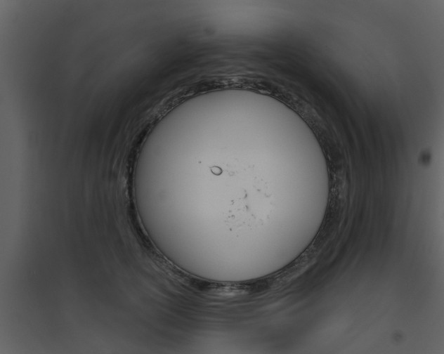 X0000094790754200711160917