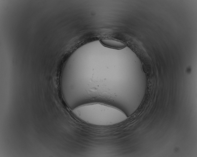 X0000094790755200711160917