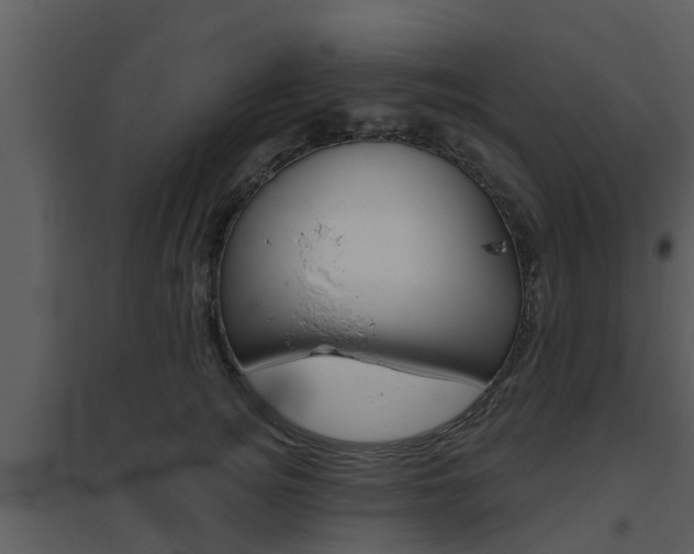 X0000094790756200711160917