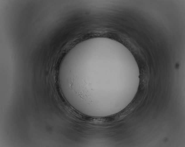 X0000094790758200711160917