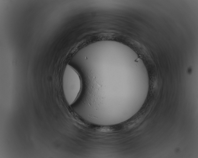 X0000094790759200711160917