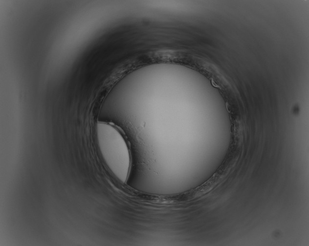 X0000094790760200711160917