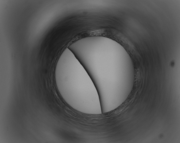X0000094790761200711160917