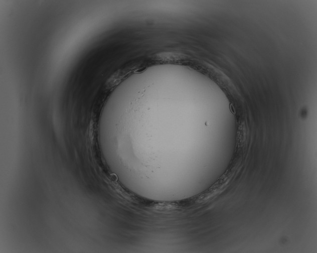 X0000094790762200711160917