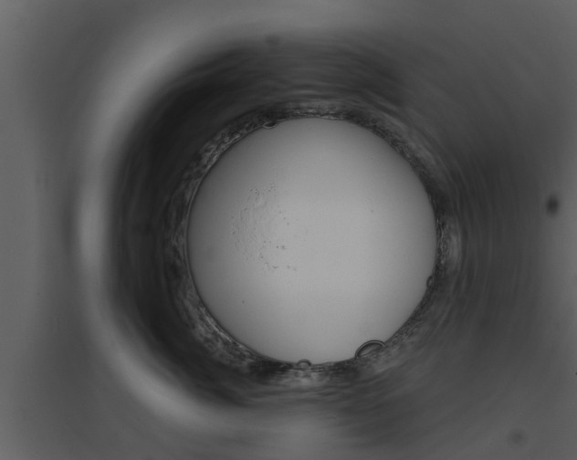 X0000094790764200711160917