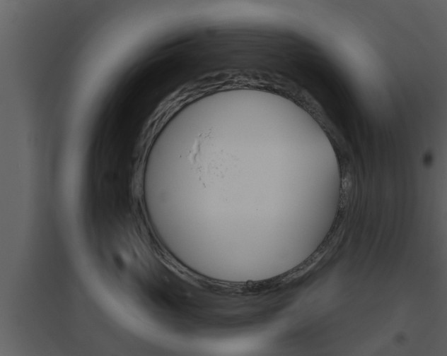 X0000094790765200711160917