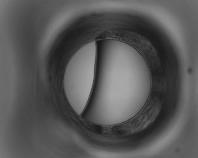 X0000094790766200711160917