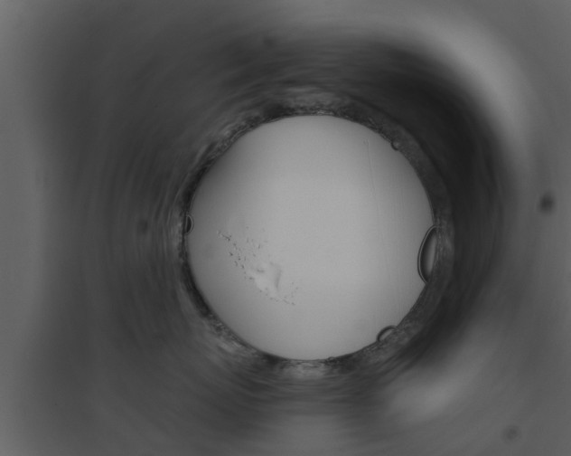 X0000094790767200711160917