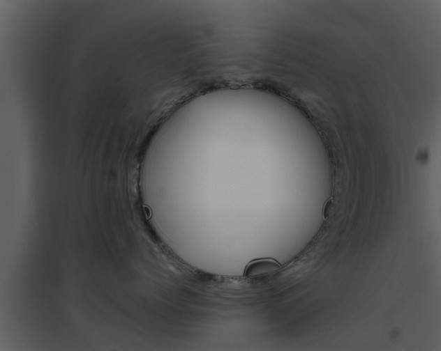 X0000094790768200711160917