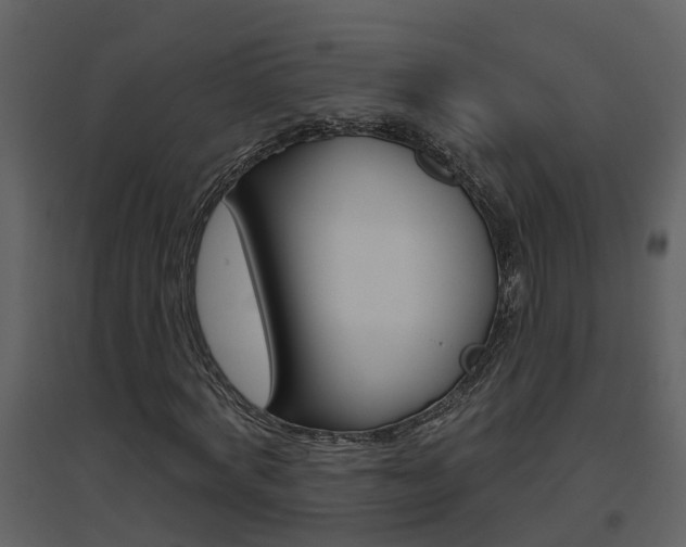 X0000094790772200711160916