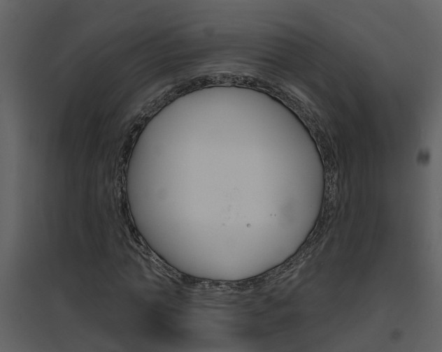 X0000094790774200711160916