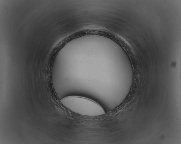 X0000094790775200711160916