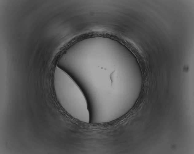 X0000094790776200711160916