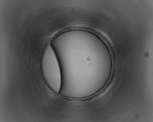X0000094790777200711160916
